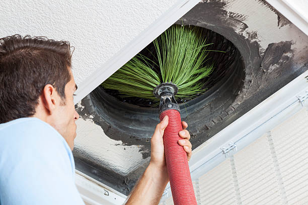 Best Local Air Duct Cleaning Services  in Willits, CA
